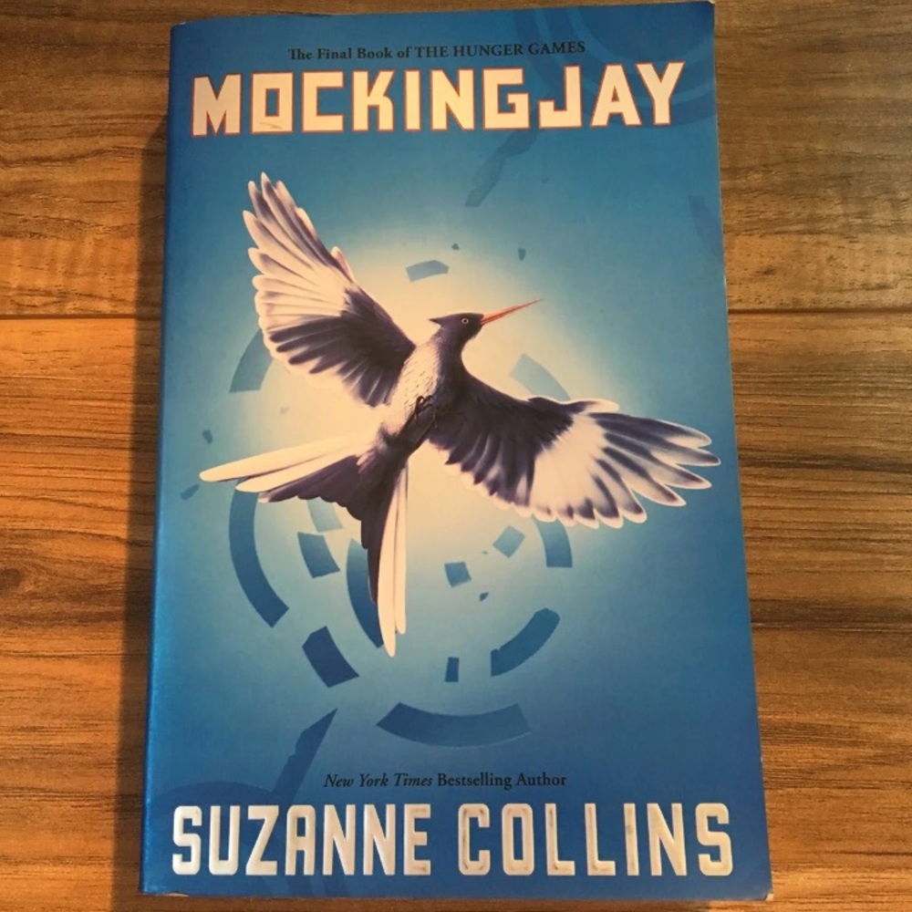 Hunger game Series - Picture 6 of 7